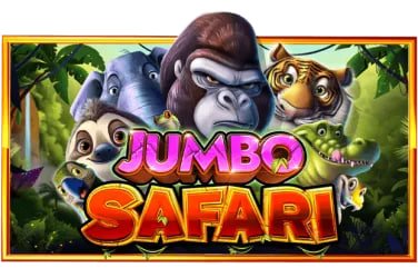 Bali Vacation slot game interface showing tropical symbols and payline structure on rajahoki123.www